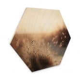 Hexagon Hout Treechild - Zonsondergang in de Duinen 