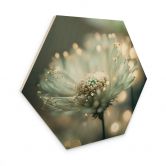 Tableau sur bois hexagonal Délicat scintillement des fleurs - Treechild 