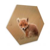 Hexagon - Holz van Duijn - Baby Fuchs 