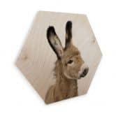 Hexagon - Holz Birke-Furnier Sisi & Seb - Baby Esel 
