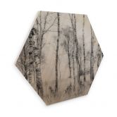 Hexagone - Bois Talen - Forêt de bouleaux noirs et blancs 