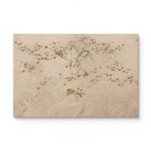 Elegante Houten Wanddecoratie in Aziatische stijl - Ms Tiff 