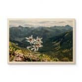 Holzbild Weißer Alpen-Edelweiß auf dem Berg 
