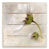 Holzbild Disher - Cosmos - 40x41,5 cm 