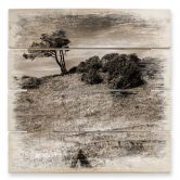 Holzbild Landschaft auf Hiddensee - 40x41,5 cm 