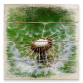 Holzbild Pusteblume im Wind - 40x41,5 cm 