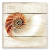 Holzbild Nautilus - 40x41,5 cm 