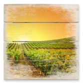 Holzbild Sonnenuntergang im Weinberg - 40x41,5 cm 
