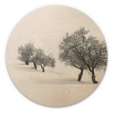 Holzbild Carrillo Lopez - Weiße Landschaft - Rund 