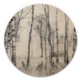 Holzbild Talen - Schwarz-weißer Birkenwald - Rund 