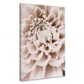 Canvas 1X Studio - Chrysant 