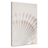 Leinwandbild 1X Studio - Jakobsmuschel 