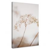 Leinwandbild 1X Studio - Zweig mit zarten Blüten 