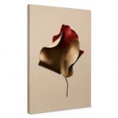 Leinwandbild Elegantes Blatt in Gold und Rot - Alma 