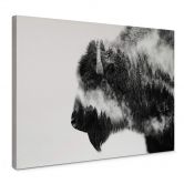 Leinwandbild Angyalosi - Bison 
