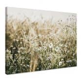 Leinwandbild Sommerwiese mit Kamille - Annie 
