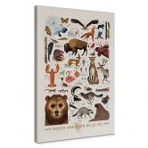 Leinwandbild Braun - North American Wildlife 