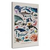 Leinwandbild Braun - Ocean Wildlife 
