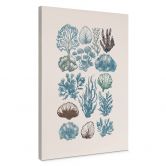 Canvas schilderij Filigraan algen en schelpen | onderwaterplanten - casa cartissi 