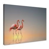 Leinwandbild Cseresnjes - Flamingos im Abendlicht 