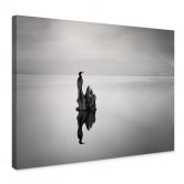 Leinwandbild Digalakis - Eleganter Wasservogel 