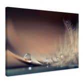 Leinwandbild Story of a Waterdrop | Feder Wandbild - Dmitry 