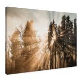 Leinwandbild Natur - Lichtstrahlen im Wald - Eisenmann 