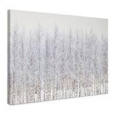 Leinwandbild Birkenwald im Winter - EMELIEmaria 