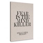 Leinwandbild Filmzitat aus Dune - Fear is the mind killer 