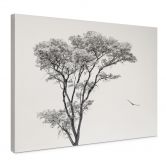 Leinwandbild Minimalistischer Baum in ruhiger Landschaft - Flour 