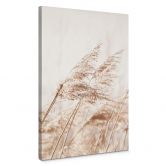 Leinwandbild Gräser im Wind 