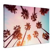 Canvasbillede California Dreaming med udsigt til palmer - Hugonnard 