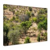 Leinwandbild Savannenlandschaft in Afrika - Hugonnard 
