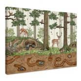 Leinwandbild Wimmelbild Waldtiere - Kikki Belle 