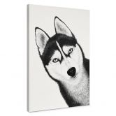 Leinwandbild Sibirischer Husky - Hundeporträt - Korenkova 