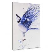 Canvas Müller - Pimpelmeesje 