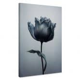 Leinwandbild Samtige Tulpe in Schwarz - Paksoylu 