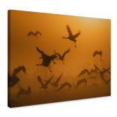 Canvas Rosenblatt - Zwerm Vogels in de Ochtend 