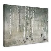 Leinwandbild Talen - Morgenruhe 