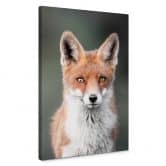 Canvas van Duijn - Fox Eyes 