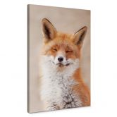 Leinwandbild van Duijn - Zufriedener Fuchs 