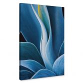 Leinwandbild Wechsler - Pflanzen Stillleben Agave 