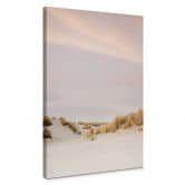 Leinwandbild Zwart - Dünenlandschaft in Ameland 