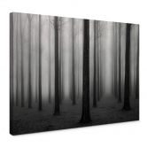 Leinwandbild Bongaerts - Nebel im Wald 