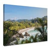 Canvasbillede - Colombo - Costa Rica 