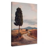 Canvas Colombo - Cypress Road 