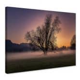 Leinwandbild Cuadrado - The Fog 