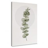 Canvas Kubistika - Eucalyptus 