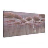 Leinwandbild Lotusblumen mit Schwan im Wasser in Altrosa - Ms Tiff - Panorama 
