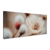 Blumen Leinwandbild Boho Blüte Soft Beige - Treechild - Panorama 